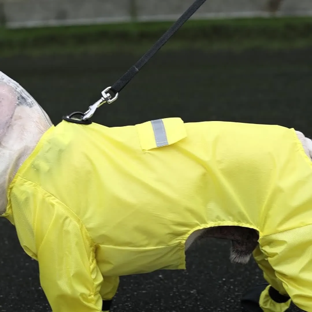 AquaTail Frenchie Raincoat with Integrated Booties and Hood