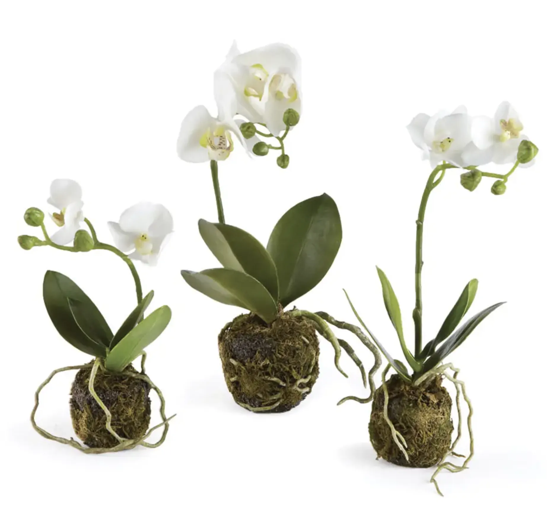 faux mini phalaenopsis drop in