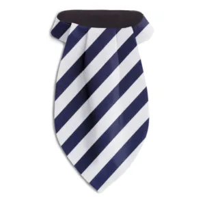 Scholastic Blue/White - Ascots