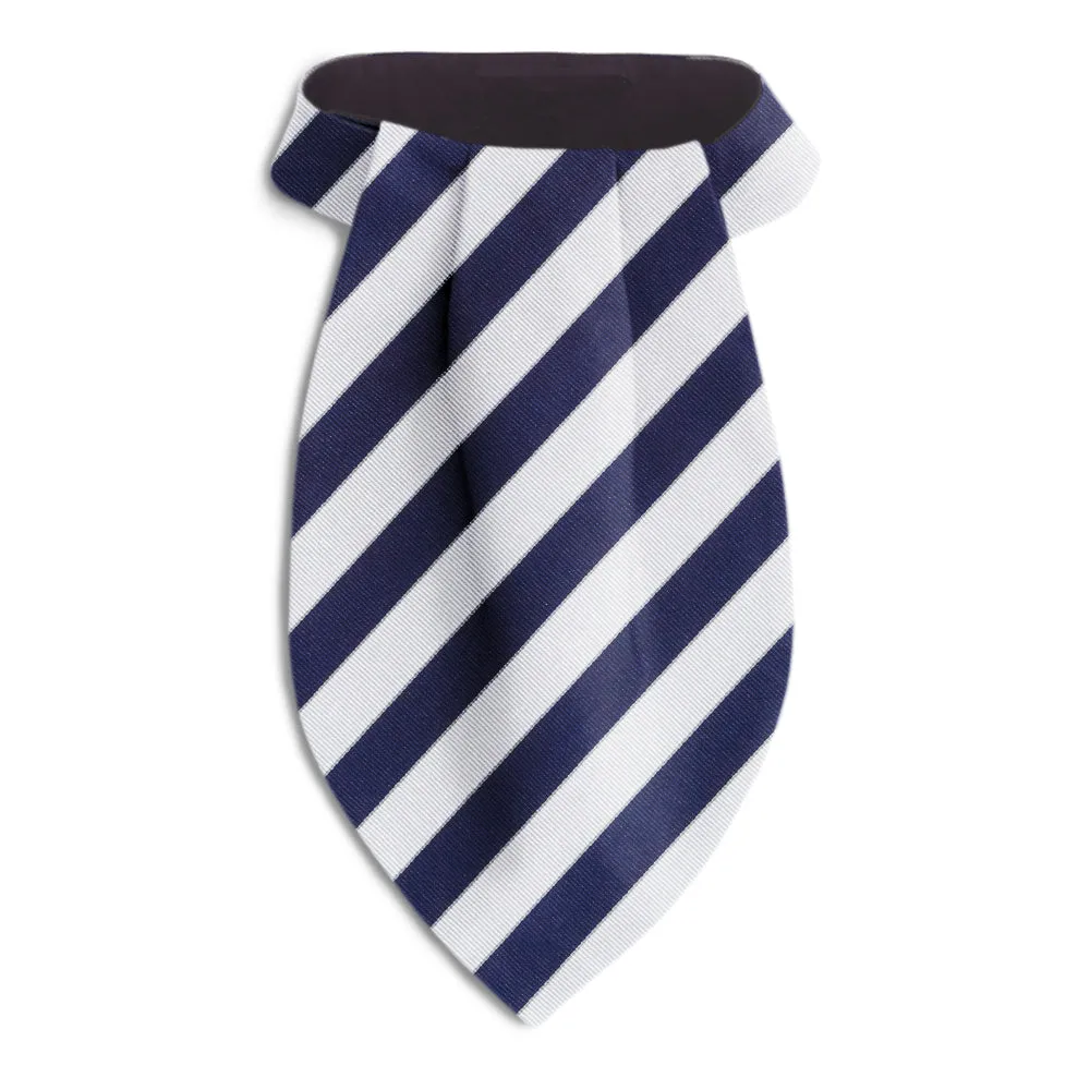 Scholastic Blue/White - Ascots