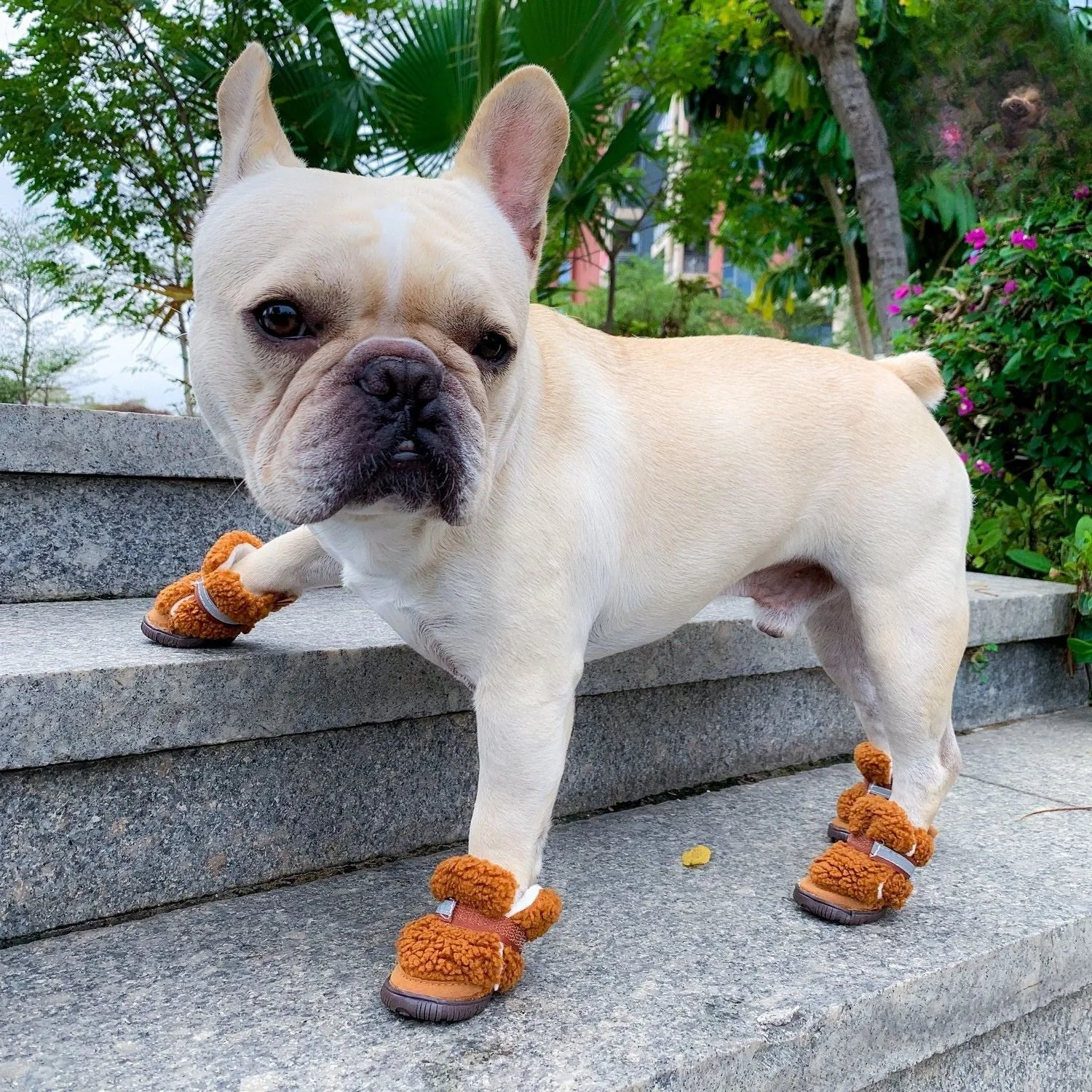 VelviPaw Teddy Velvet Frenchie Shoes – Warm and Cozy Dog Booties